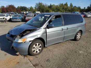  Salvage Honda Odyssey