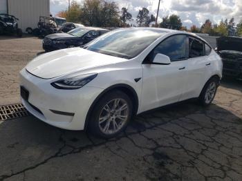  Salvage Tesla Model Y