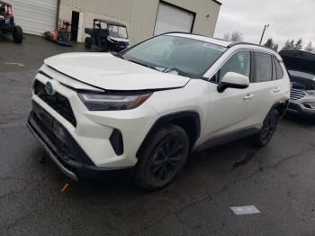  Salvage Toyota RAV4