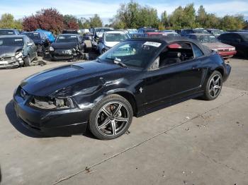  Salvage Ford Mustang