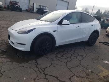  Salvage Tesla Model Y