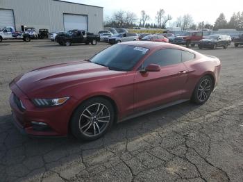  Salvage Ford Mustang