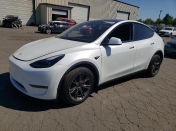  Salvage Tesla Model Y