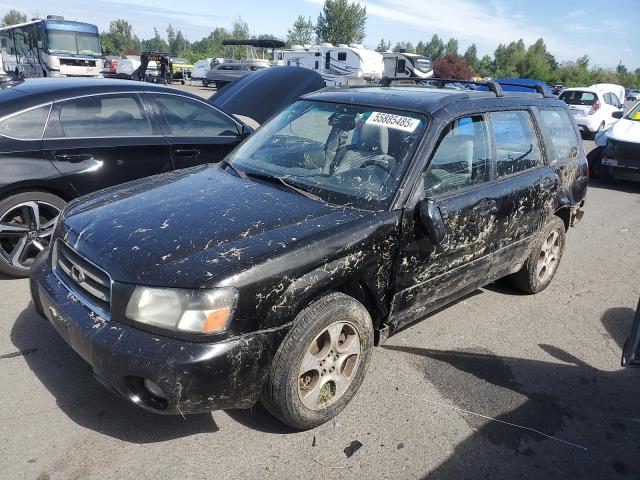 Salvage Subaru Forester