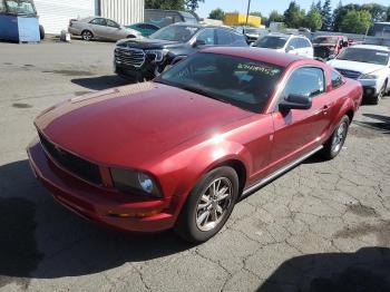  Salvage Ford Mustang