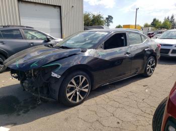  Salvage Nissan Maxima
