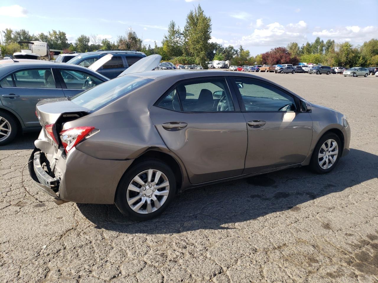 Toyota Corolla L Image 8