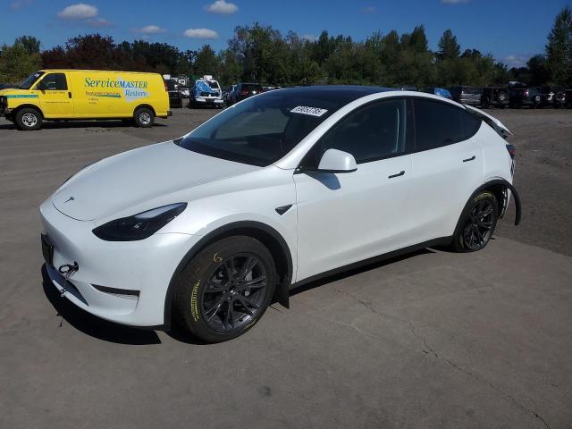  Salvage Tesla Model Y