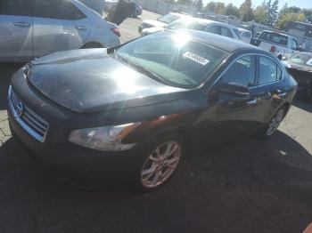  Salvage Nissan Maxima