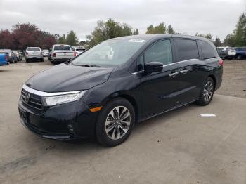  Salvage Honda Odyssey