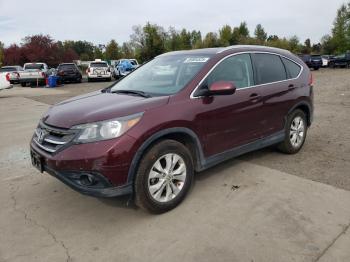  Salvage Honda Crv