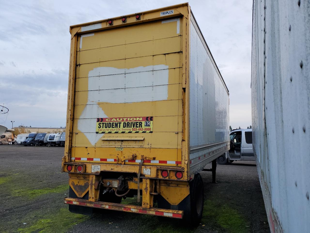 Great Dane Other Image 5