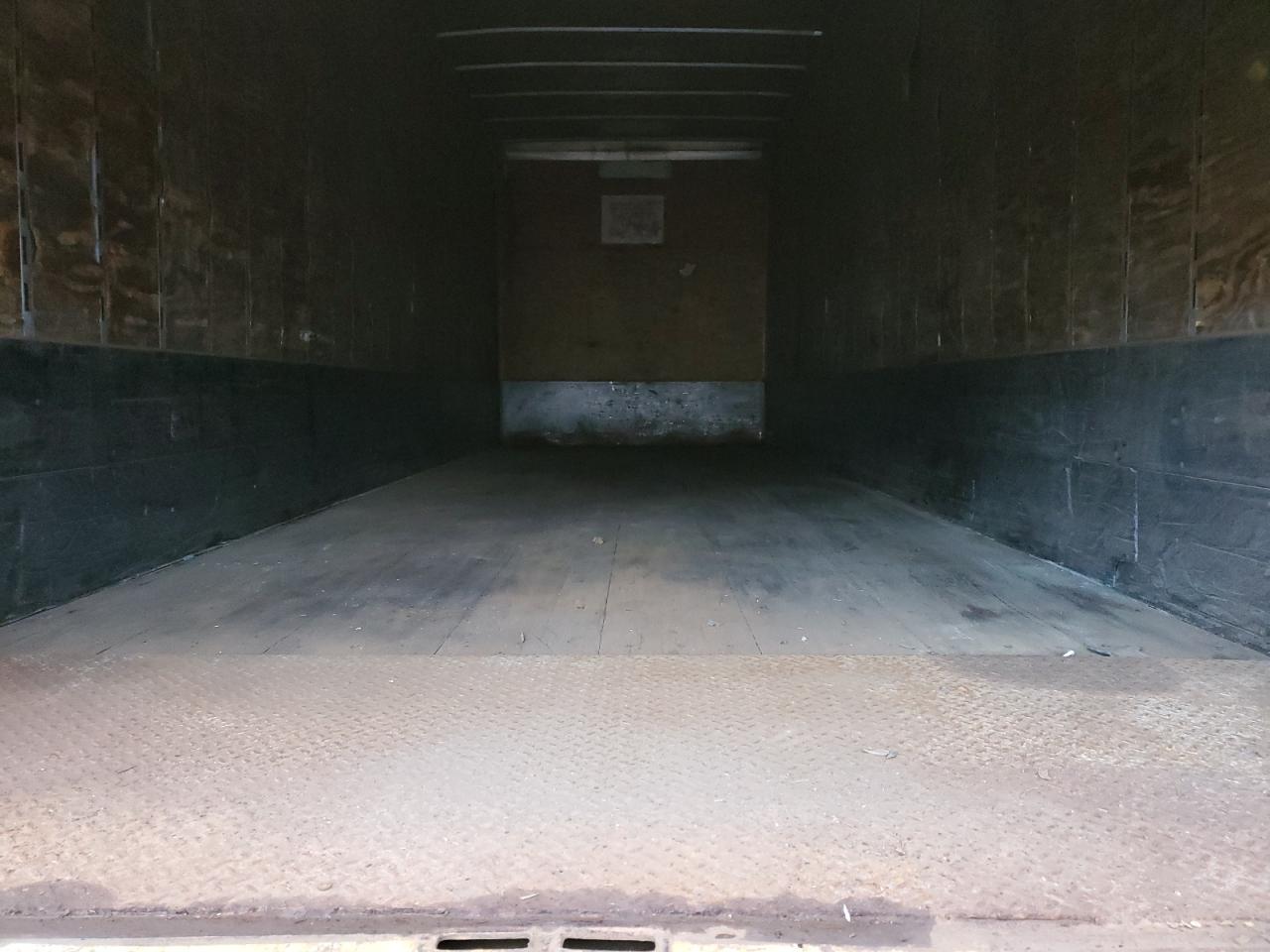 Great Dane Other Image 4