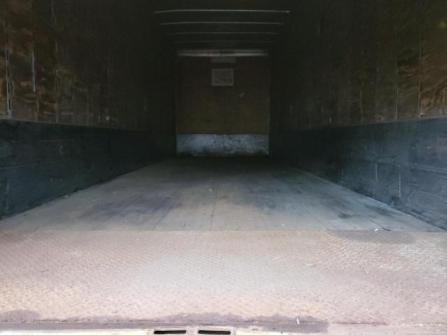 Great Dane Other Image 4