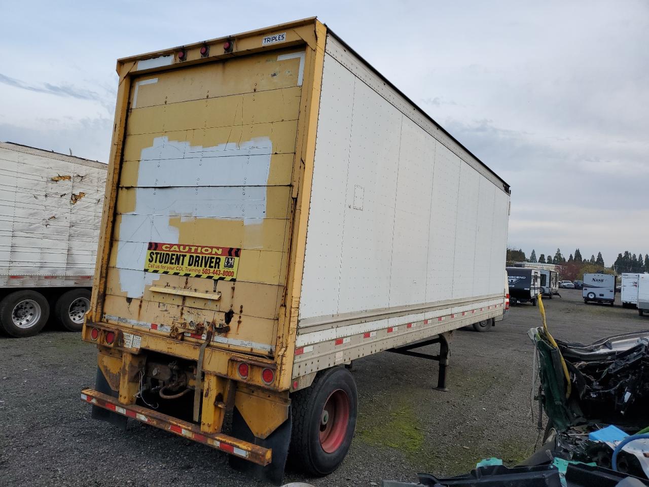 Great Dane Other Image 3