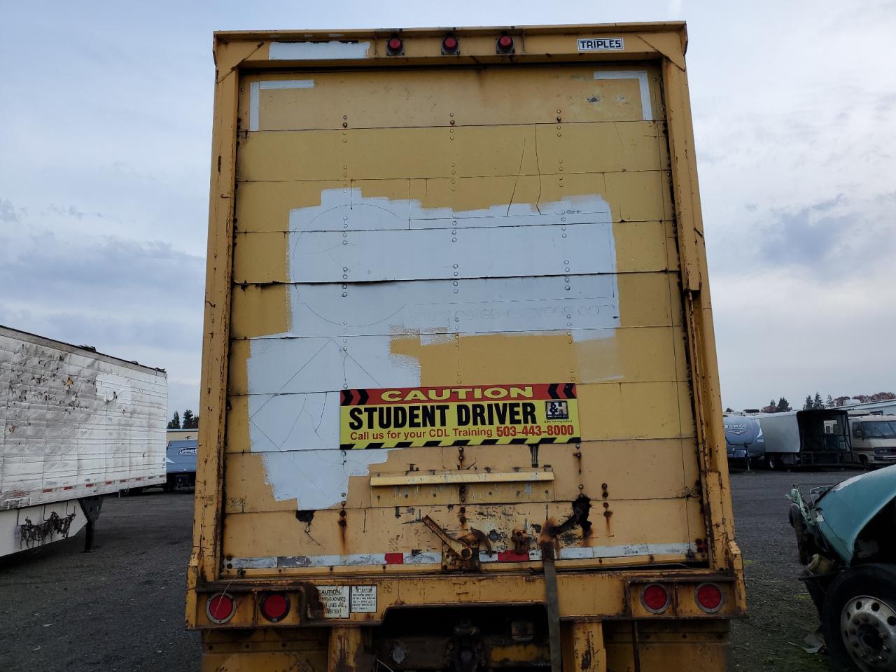 Great Dane Other Image 4