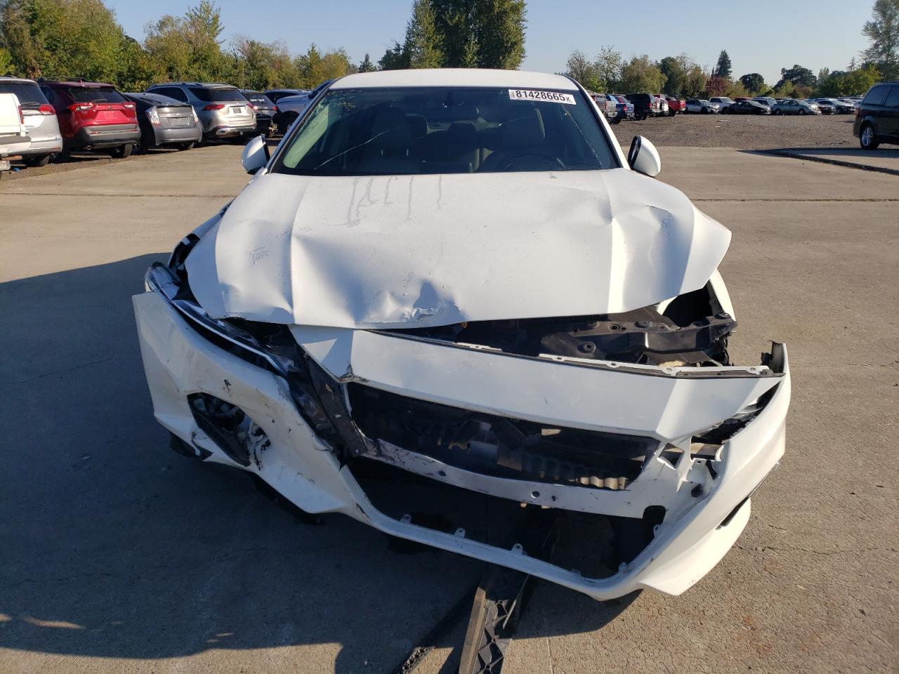 Nissan Altima S Image 7