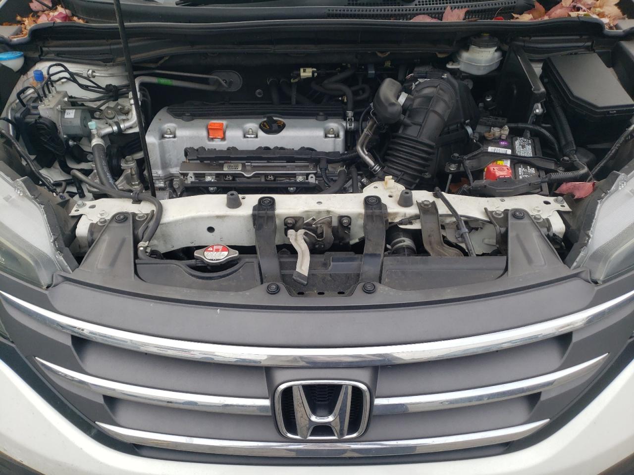 Honda Crv Lx Image 12