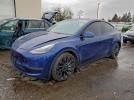 Tesla Model Y Image 1