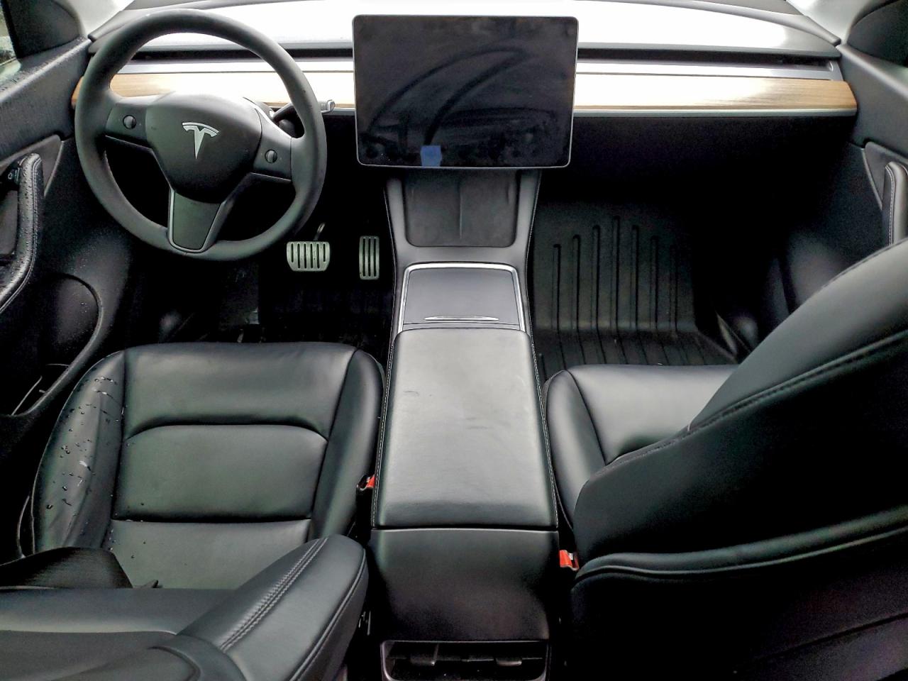 Tesla Model Y Image 12