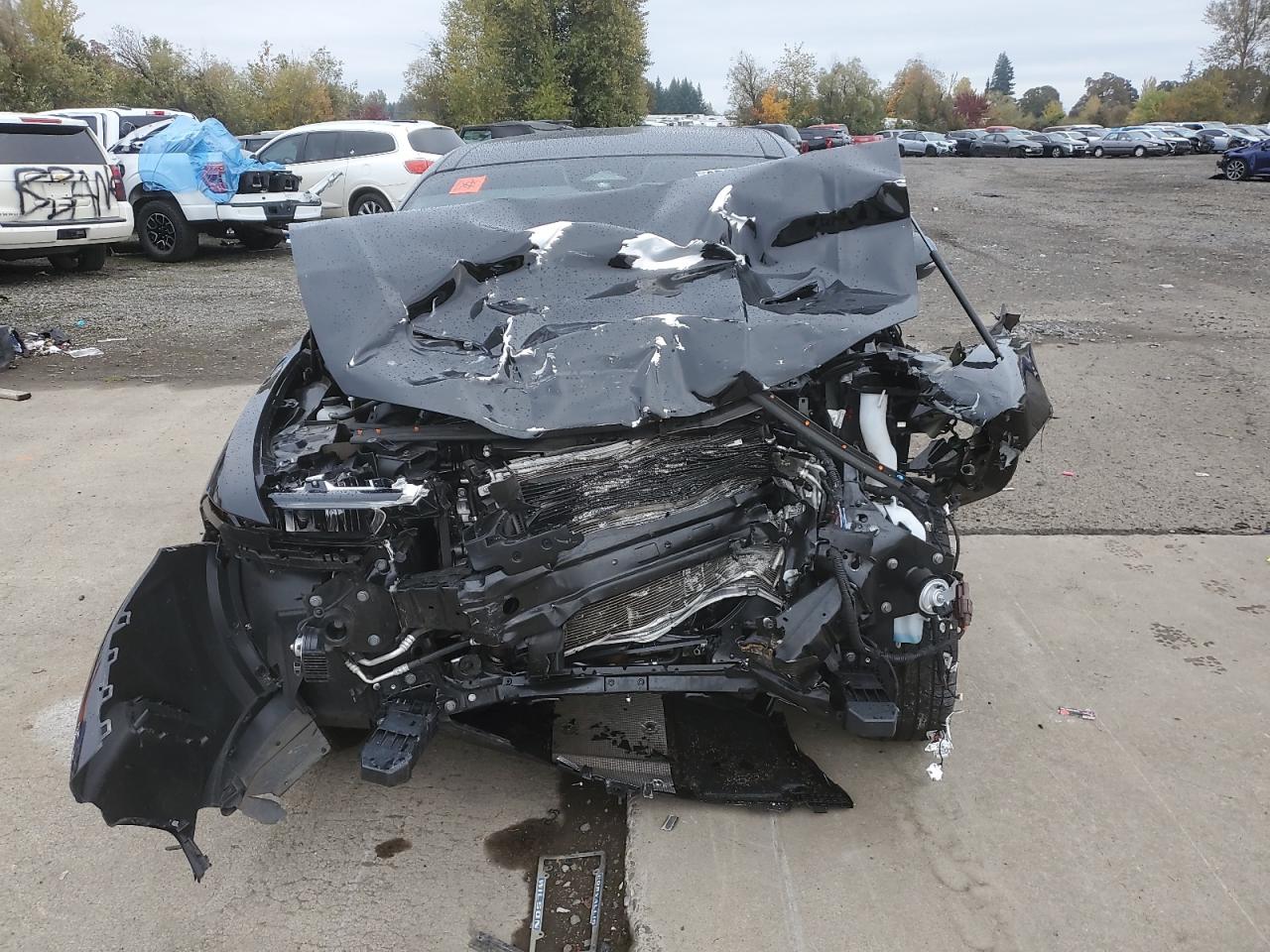 Dodge Hornet Gt Gt Plus Image 2