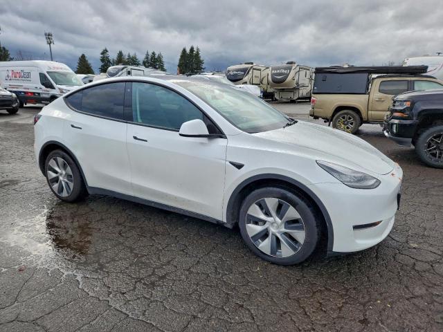 Tesla Model Y Image 4