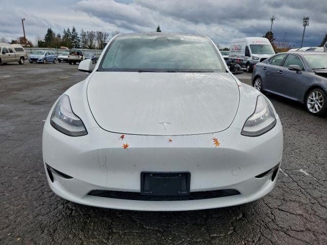 Tesla Model Y Image 3