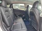 Tesla Model Y Image 7