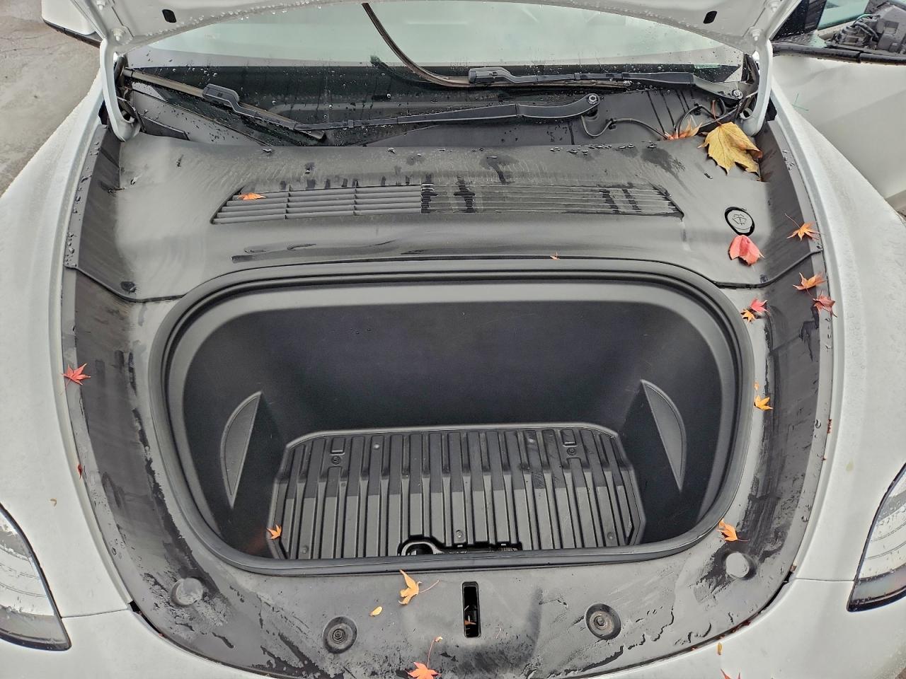 Tesla Model Y Image 9