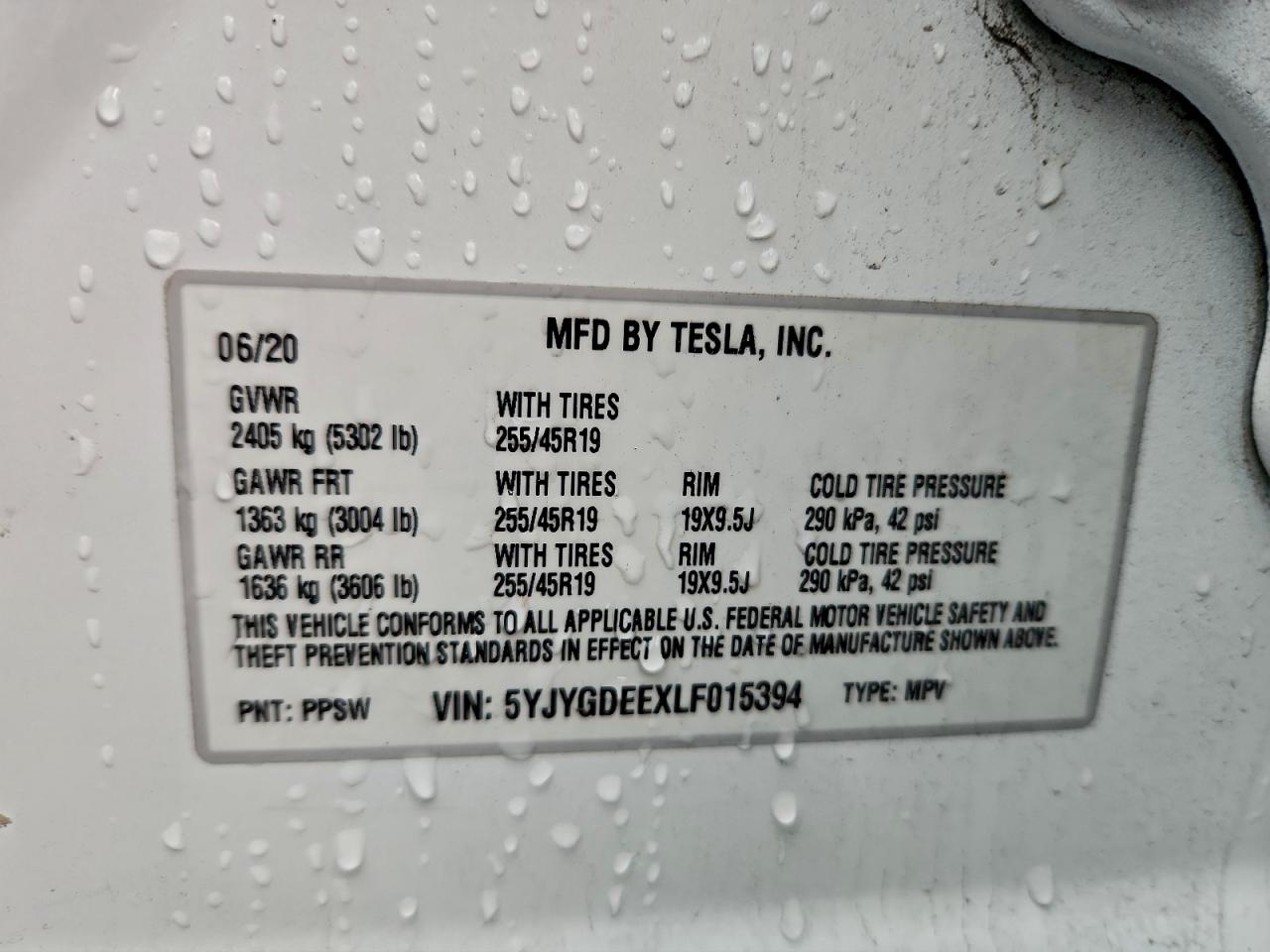 Tesla Model Y Image 11