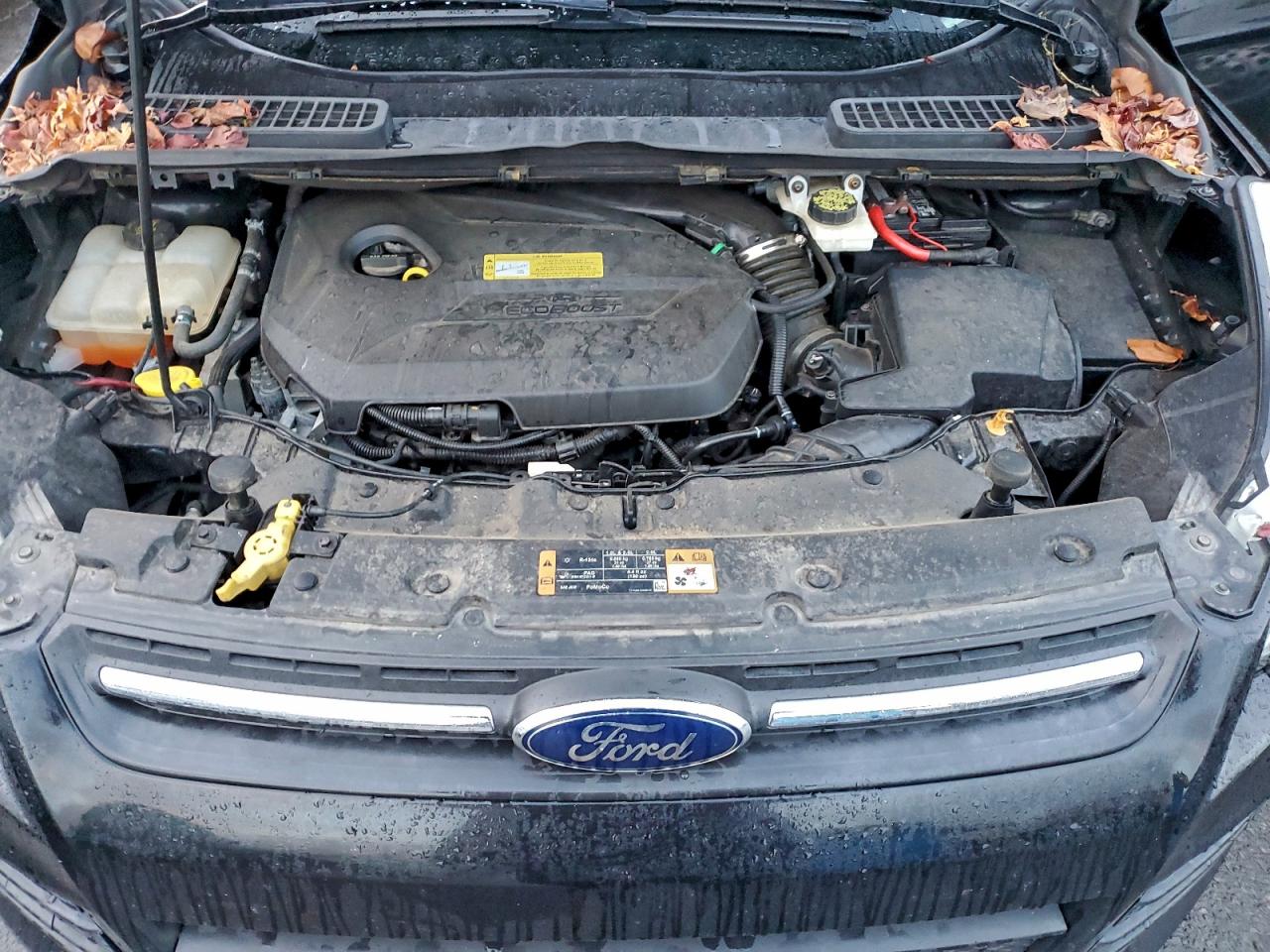 Ford Escape Se Image 12