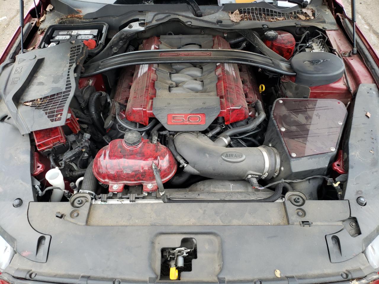 Ford Mustang Gt Image 3