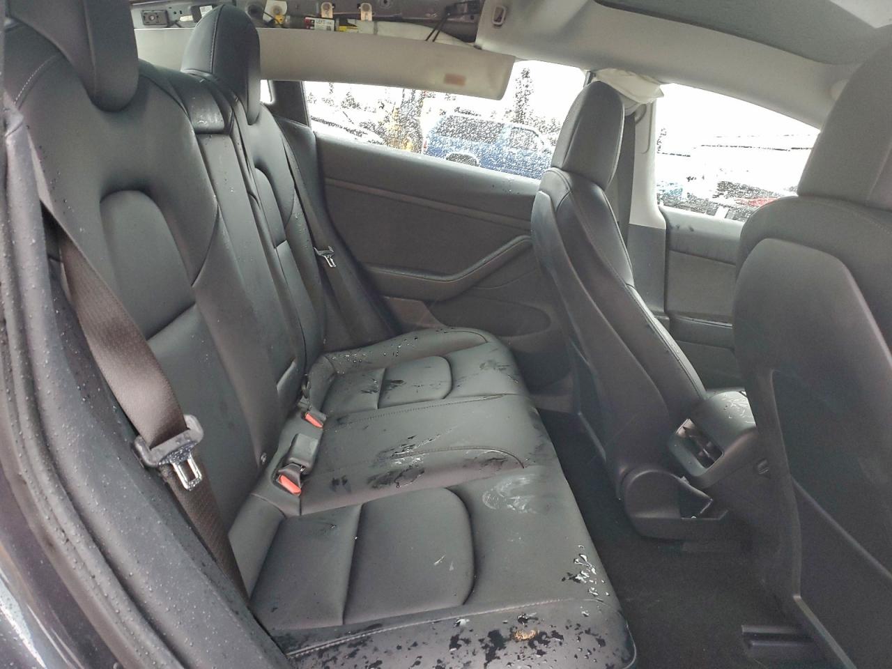 Tesla Model 3 Image 5