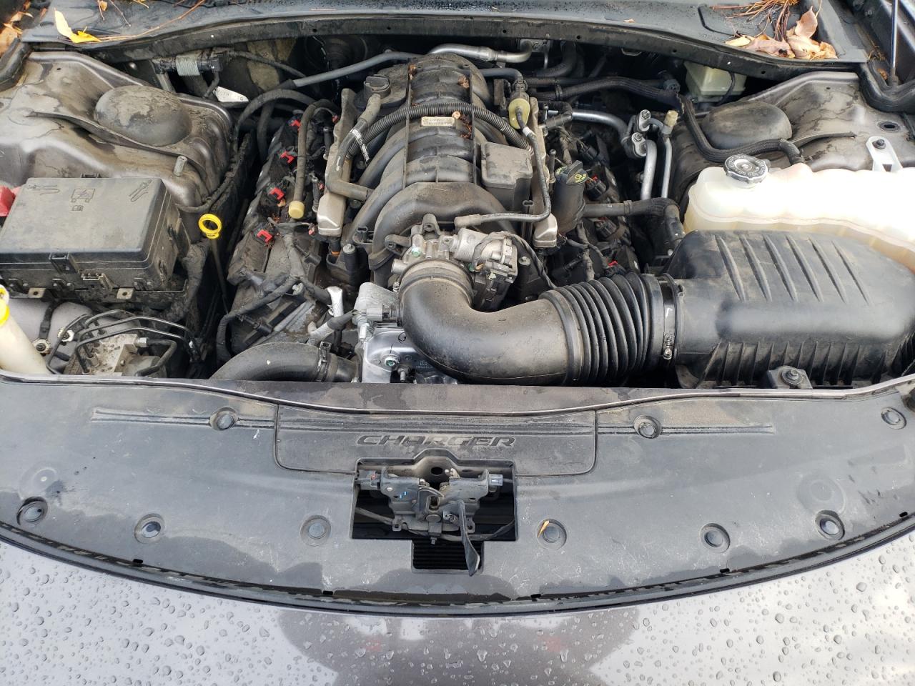 Dodge Charger R/t Image 8