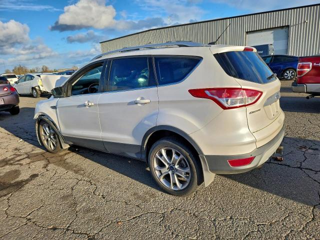 Ford Escape Titanium Image 3
