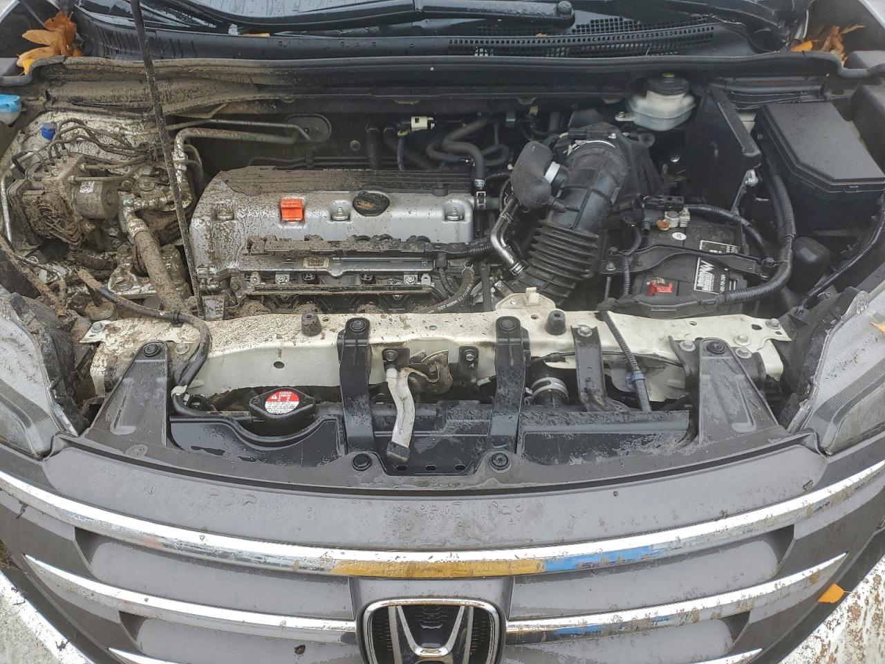 Honda Crv Lx Image 9