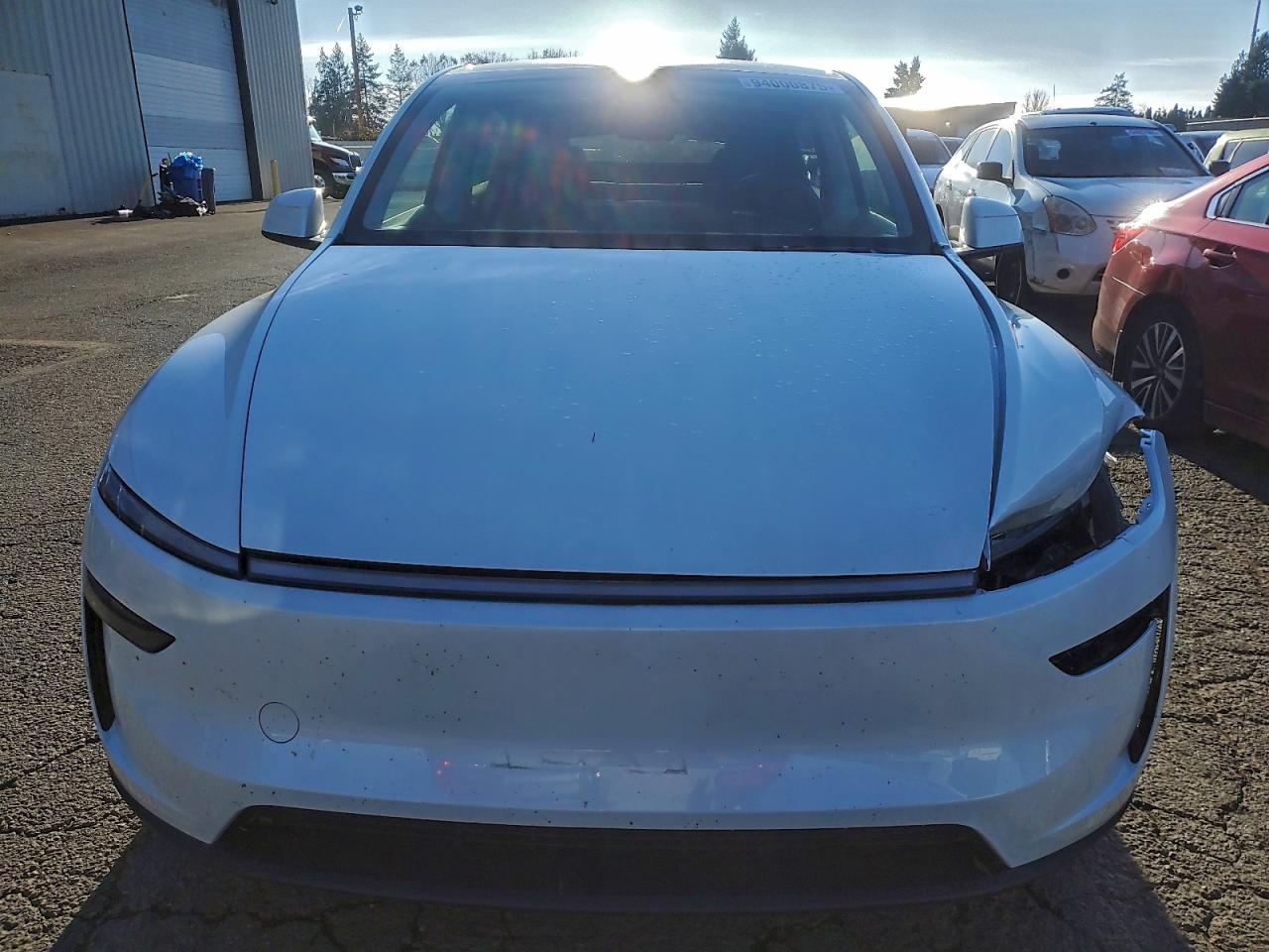 Tesla Model Y Image 6