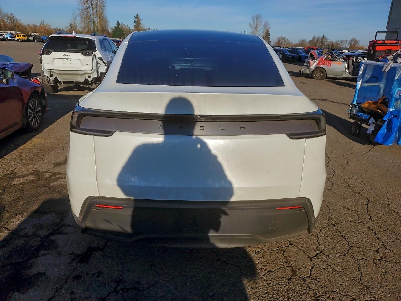 Tesla Model Y Image 4