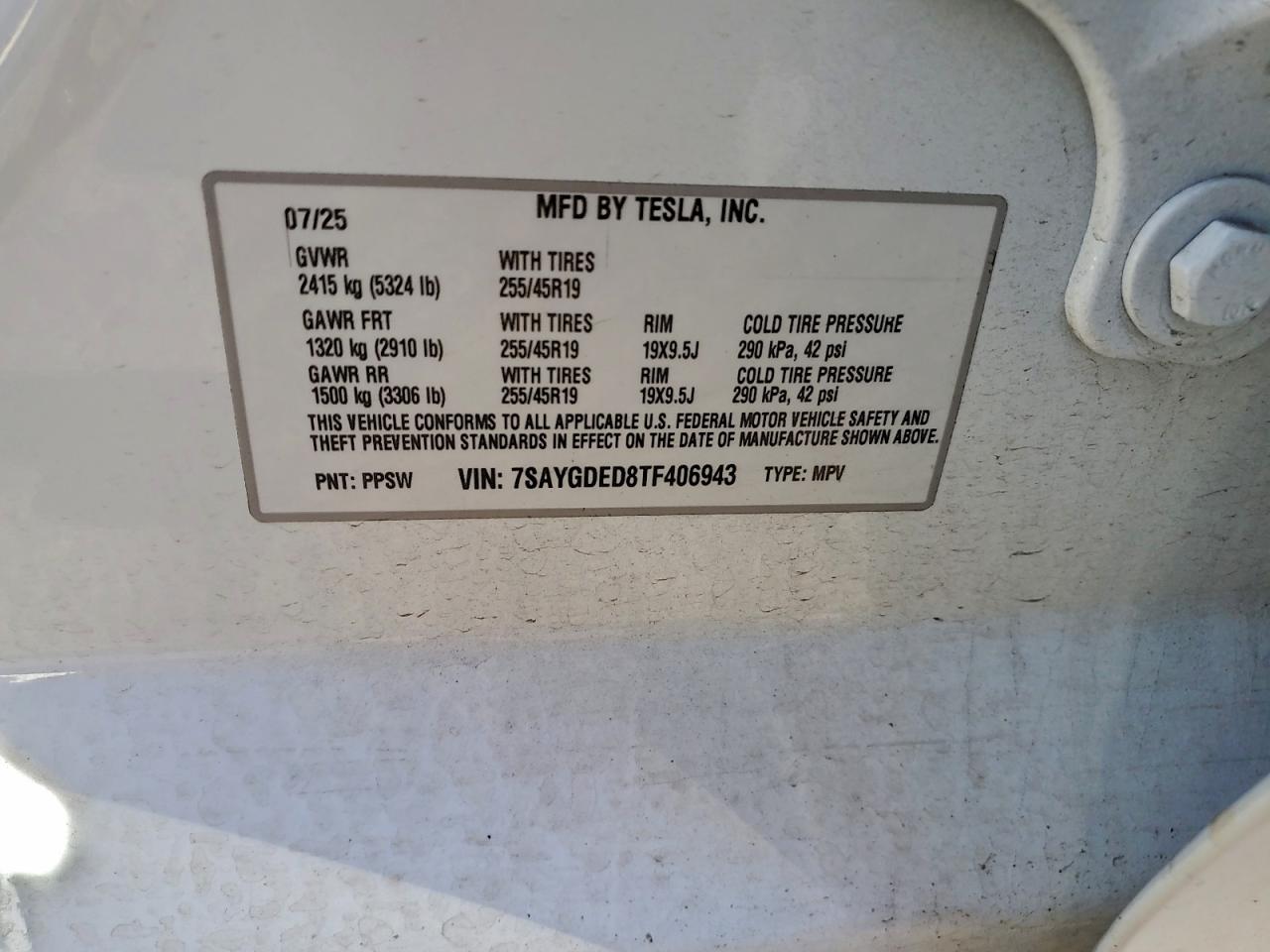 Tesla Model Y Image 10