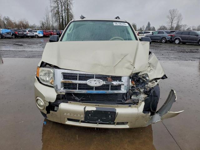 Ford Escape Xlt Image 11