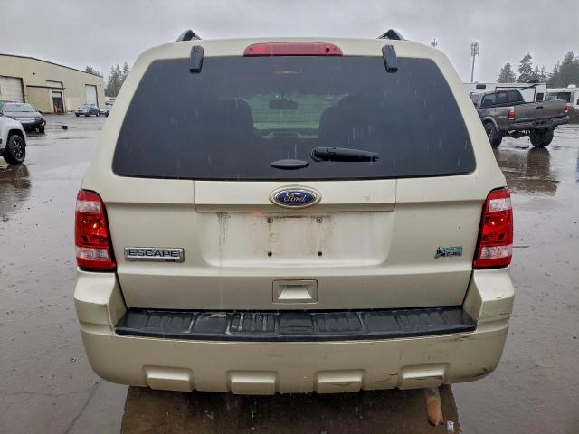 Ford Escape Xlt Image 6
