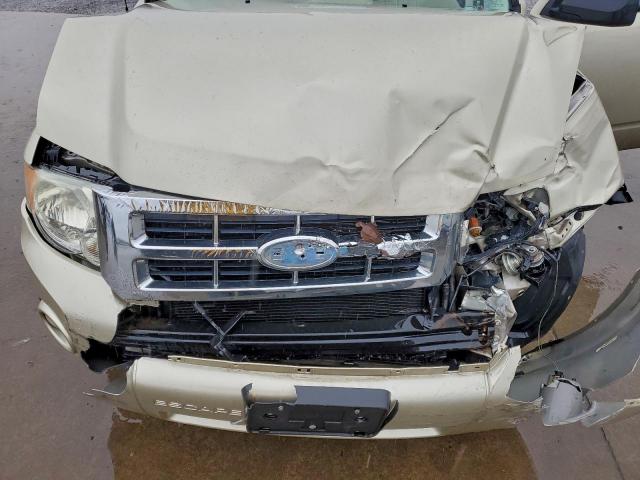 Ford Escape Xlt Image 10