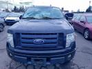 Ford F-150 Supercrew Image 3