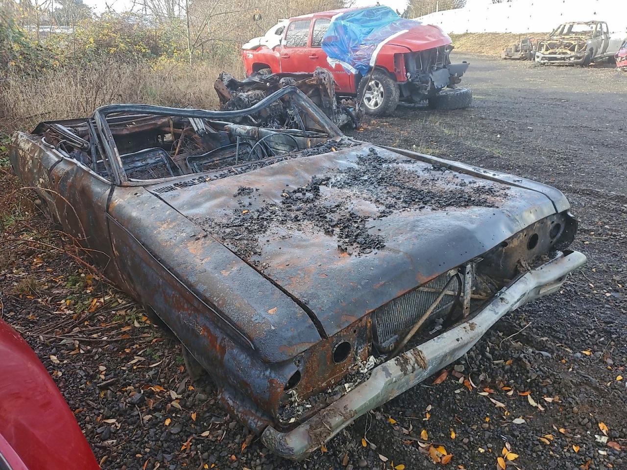 Buick Skylark Image 3