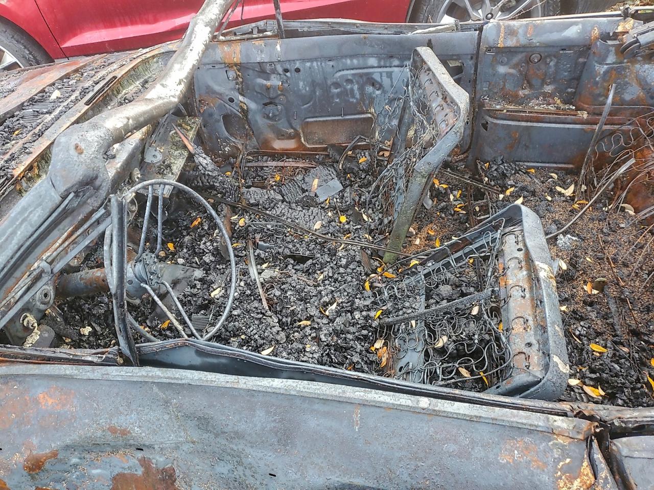 Buick Skylark Image 9