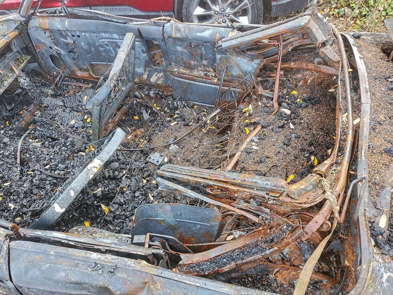 Buick Skylark Image 11