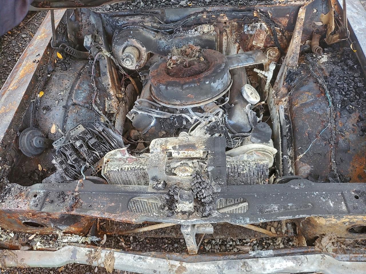 Buick Skylark Image 10