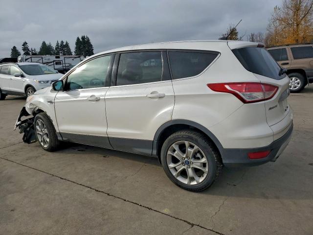 Ford Escape Sel Image 9