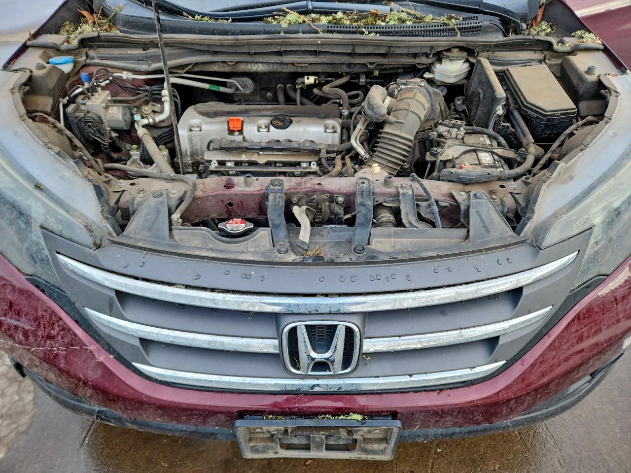 Honda Crv Exl Image 11